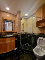 River Place (D3), Condominium #529478211
